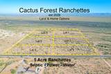 1850 Cactus Forest Road - Photo 7