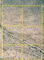 1850 Cactus Forest Road - Photo 9