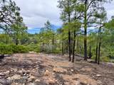 6292 Fawn Lane - Photo 4