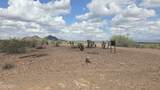 29140 Paint Your Wagon Trail - Photo 14