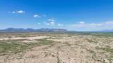 120acres Holly Drive - Photo 4
