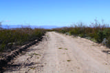 4.29 Acres La Cienega - Photo 12
