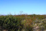 4.29 Acres La Cienega - Photo 13