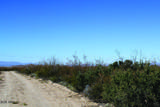 4.29 Acres La Cienega - Photo 14