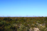 4.29 Acres La Cienega - Photo 15