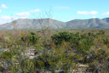 4.29 Acres La Cienega - Photo 17
