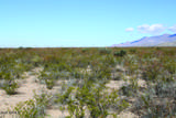 4.29 Acres La Cienega - Photo 18