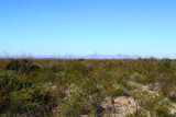 4.29 Acres La Cienega - Photo 19