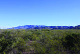 4.29 Acres La Cienega - Photo 25