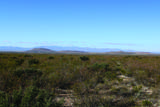 4.79 Acres La Defensa Lane - Photo 17