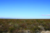 4.79 Acres La Defensa Lane - Photo 18
