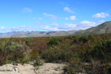 4.79 Acres La Defensa Lane - Photo 4