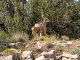 4660 Deer Run Trail - Photo 45