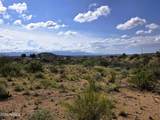 4660 Deer Run Trail - Photo 49