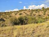 4660 Deer Run Trail - Photo 60