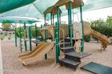 11818 Del Timbre Drive - Photo 32