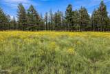 38650 State Route 373 - Photo 4