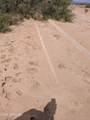 00000 519th Avenue - Photo 2