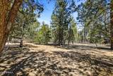 5039 Winter Hawk Court - Photo 5