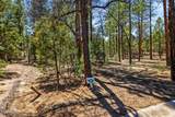 5039 Winter Hawk Court - Photo 7