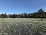 184 High Point Drive - Photo 8