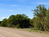 8322 Navajo Drive - Photo 3