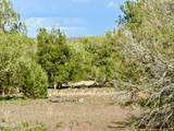8322 Navajo Drive - Photo 5