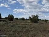 10230 Rocky Rabbit Road - Photo 10