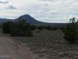 10230 Rocky Rabbit Road - Photo 11