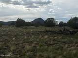 10230 Rocky Rabbit Road - Photo 12