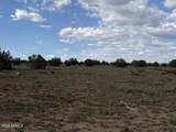 10230 Rocky Rabbit Road - Photo 13
