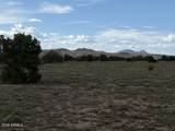 10230 Rocky Rabbit Road - Photo 14