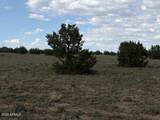 10230 Rocky Rabbit Road - Photo 4