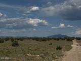 10230 Rocky Rabbit Road - Photo 5