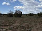 10230 Rocky Rabbit Road - Photo 8
