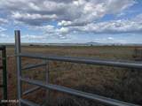 8990 Old Highway 66 - Photo 7