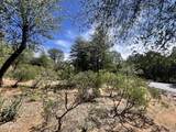 2810 Coyote Mint Circle - Photo 14