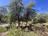 2810 Coyote Mint Circle - Photo 15