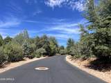 2810 Coyote Mint Circle - Photo 16