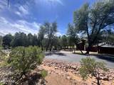 2810 Coyote Mint Circle - Photo 18