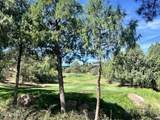 2810 Coyote Mint Circle - Photo 23