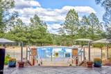 2810 Coyote Mint Circle - Photo 31