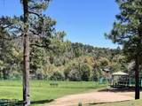 2810 Coyote Mint Circle - Photo 36