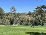 2810 Coyote Mint Circle - Photo 37