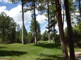 2810 Coyote Mint Circle - Photo 39