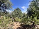2810 Coyote Mint Circle - Photo 8