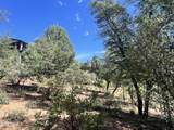 2810 Coyote Mint Circle - Photo 9