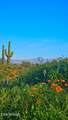 142X4 Montello Road - Photo 10