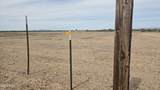 20353 Jomax Road - Photo 15