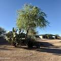28624 141st Street - Photo 153
